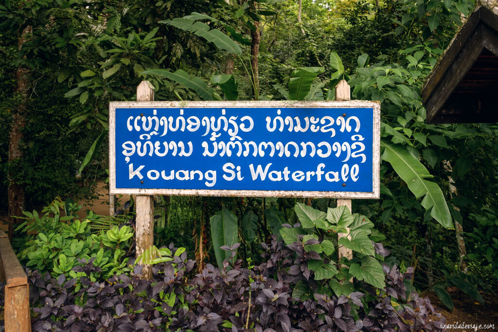 cataratas Kuang Si luang prabang